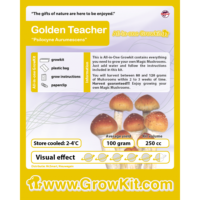 Golden Teacher growkit paddo