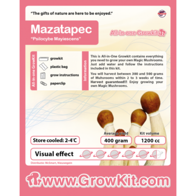 Mazatapec Growkit – 1200cc (Psilocybe Mayiescens)