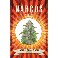 Narcos Pablo's Gelato Gold Automatic